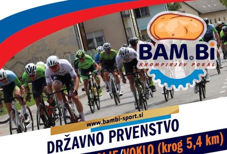 2025-05-Slika-za-BAM.Bi-net
